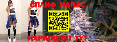 дмт Можга
