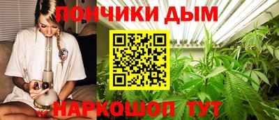 дмт Можга
